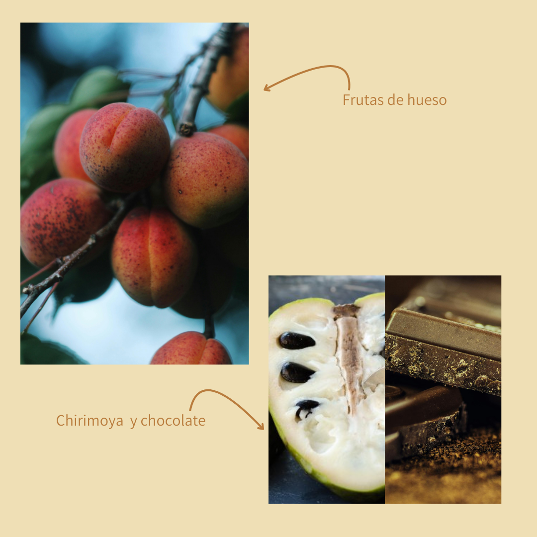 Brasil Jean Faleiros - Natural Anaerobico 48h