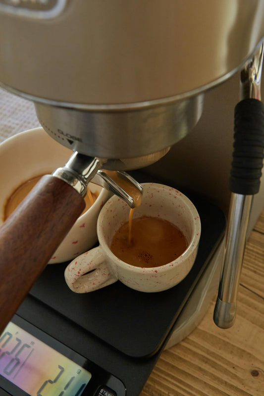 Descubre el Placer del Café de Especialidad: Cómo Elegir el Mejor Café para tu Gusto Personal - Latterra