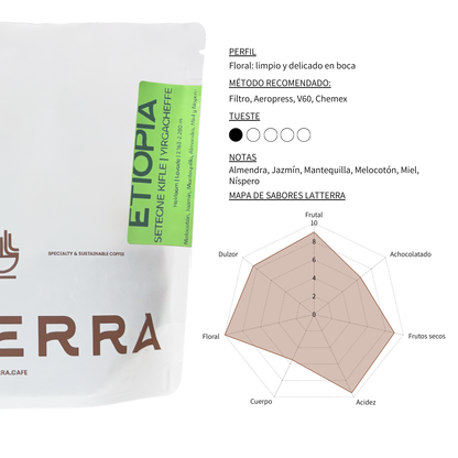 Filtro - Etiopía Setegne Kifle - Lavado