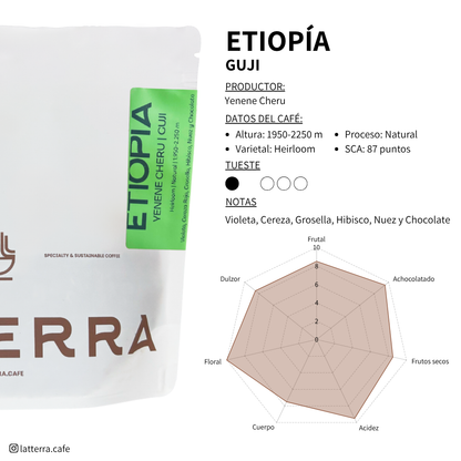 Filter - Ethiopia Setegne Kifle - Washed