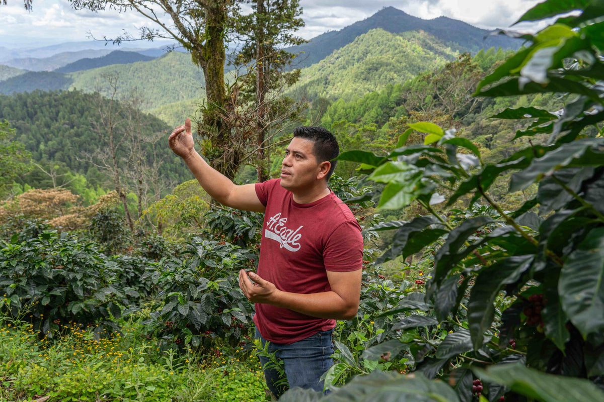 Nicaragua Joel Pastrana - Natural Anaeróbico