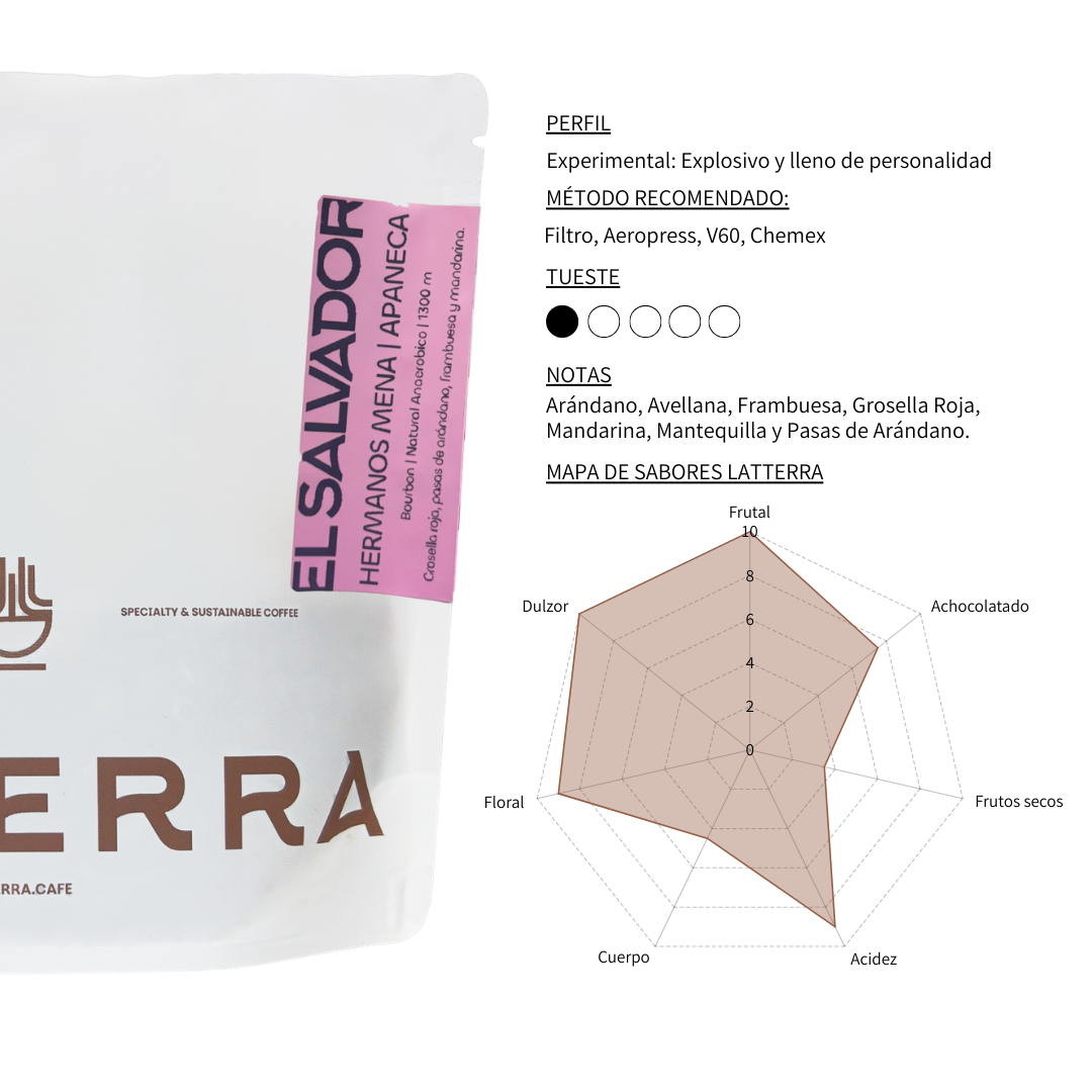 Filtro - El Salvador Hermanos Mena - Anaeróbico Natural