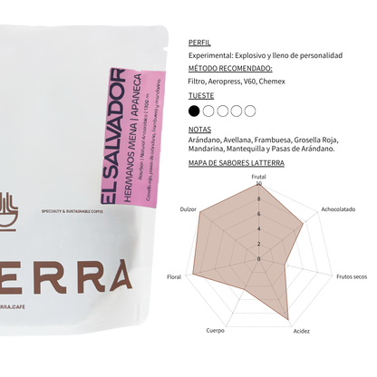 Filtro - El Salvador Hermanos Mena - Anaeróbico Natural