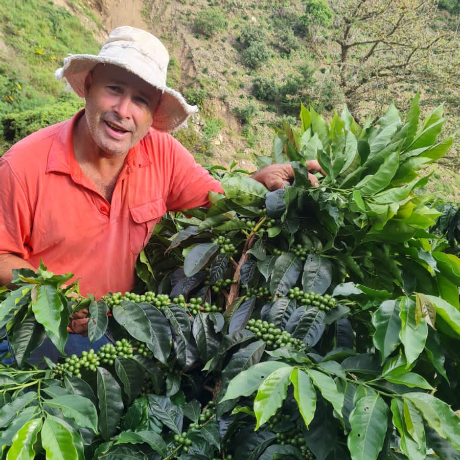 Costa Rica Gerardo Arias - Honey