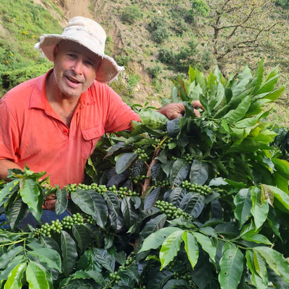 Costa Rica Gerardo Arias - Honey