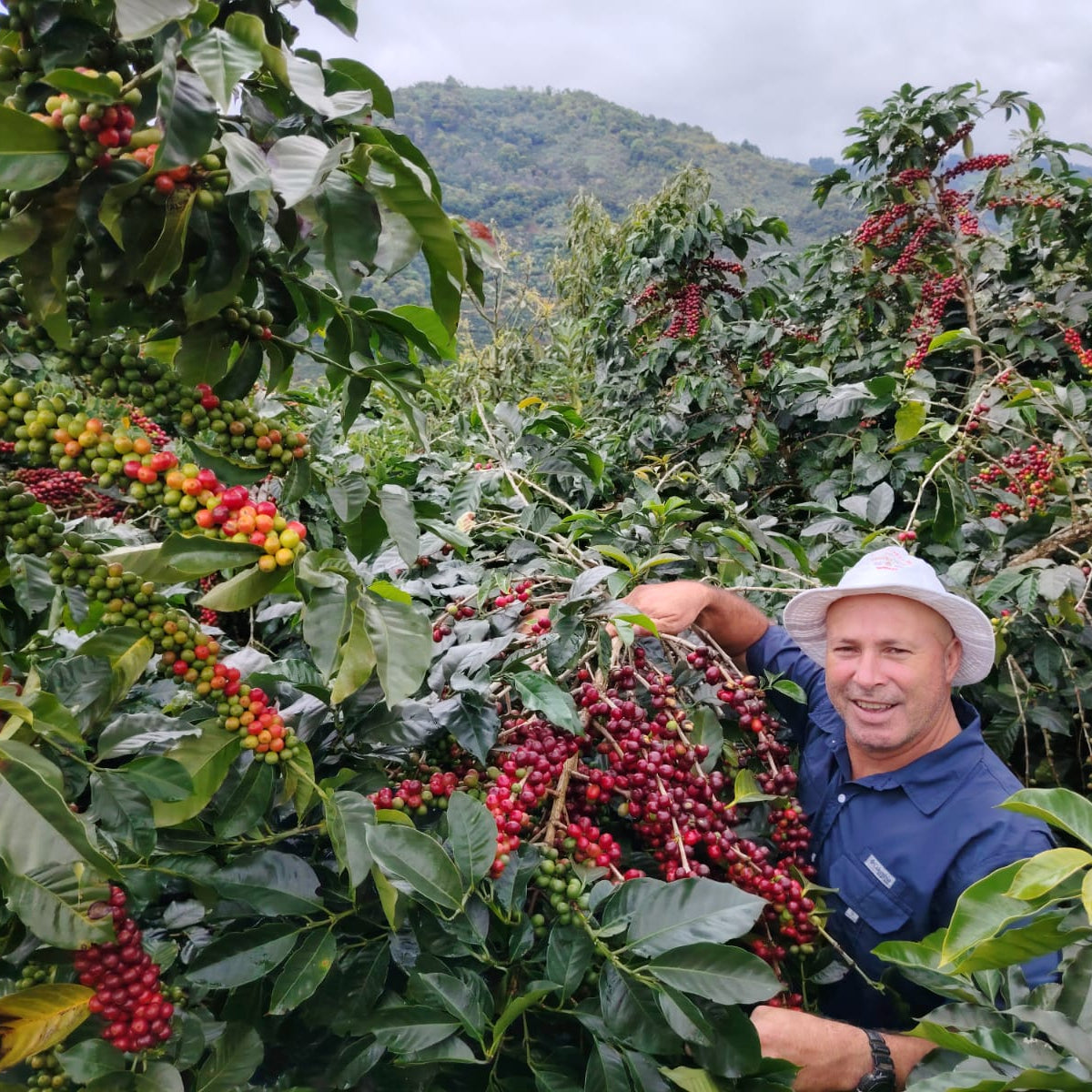 PACK CAFÉ CON NOMBRES Y APELLIDO 3x250g