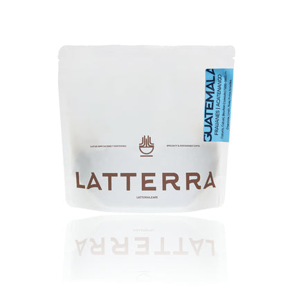 Guatemala Alex Herrera - Washed