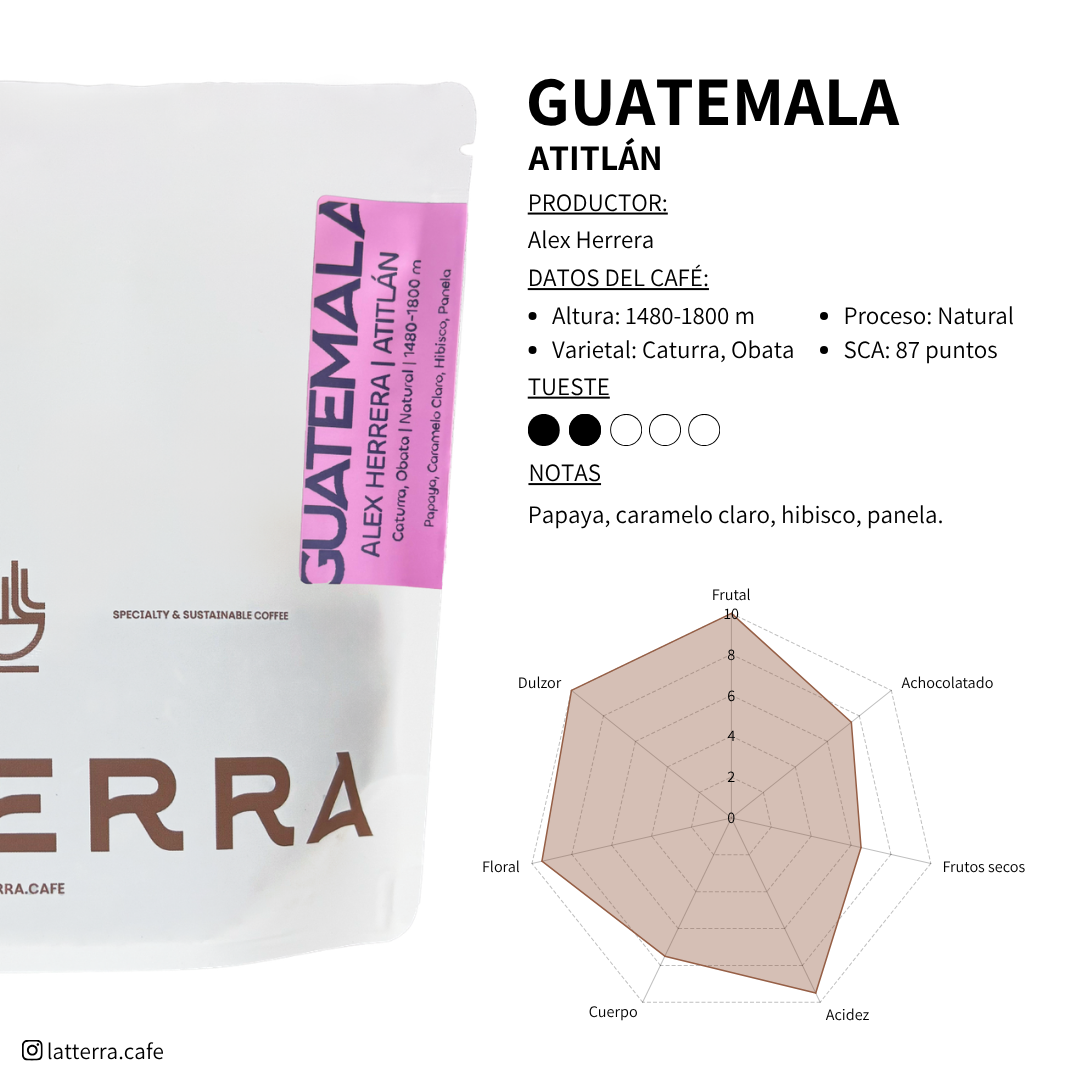 Guatemala Alex Herrera - Natural