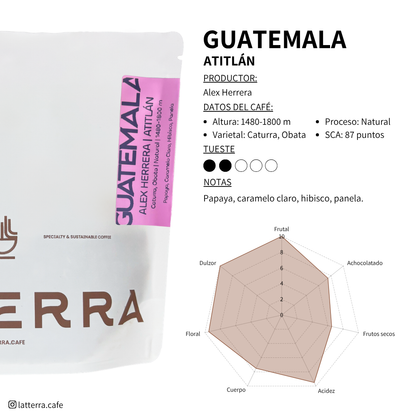 Guatemala Alex Herrera - Natural