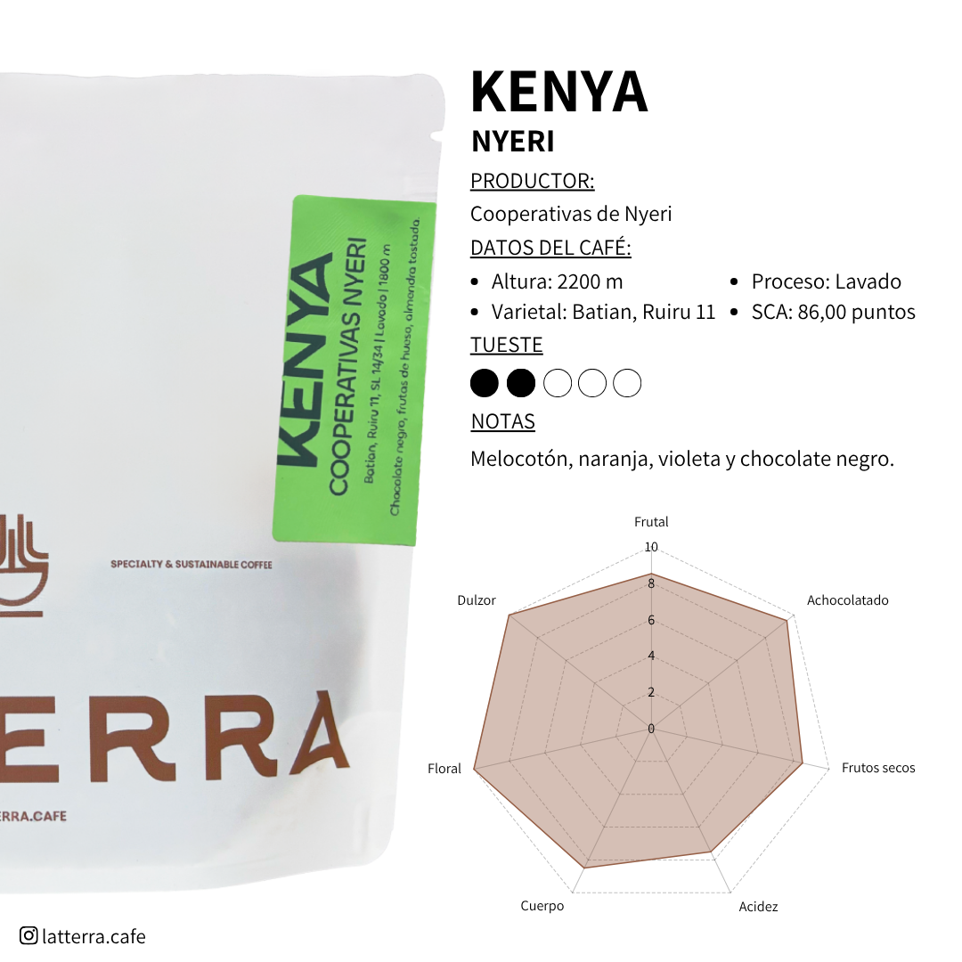 Kenya Equinoccio - Nyeri - Lavado