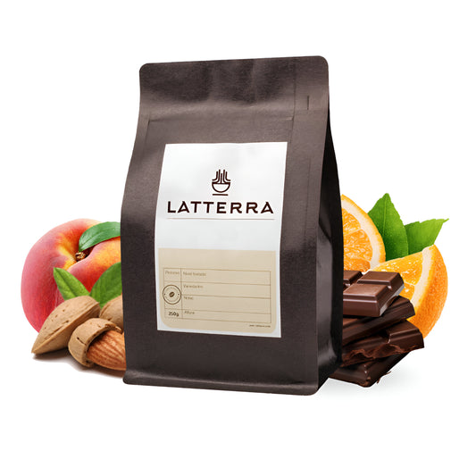 Kenya cooperativas Nyeri - Lavado
