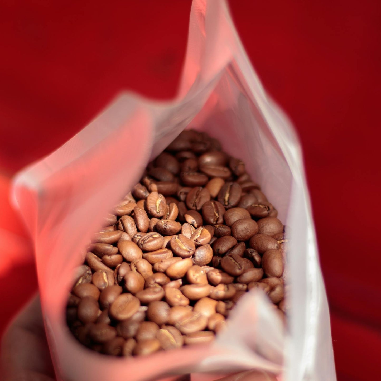 PACK SELECCIÓN DE LA CASA 4x250g