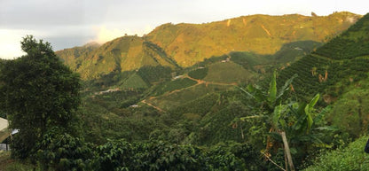 Colombia Hetson Bernal - Lavado