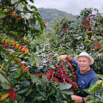 Costa Rica Gerardo Arias - Honey - Latterra