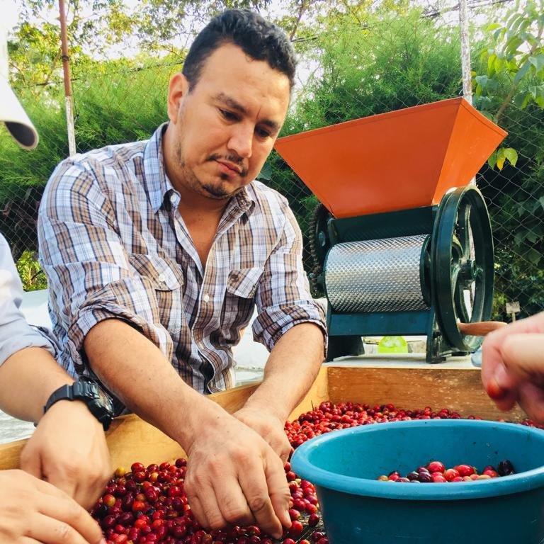 Guatemala Isauro Morales - La Cabaña - Lavado - Latterra