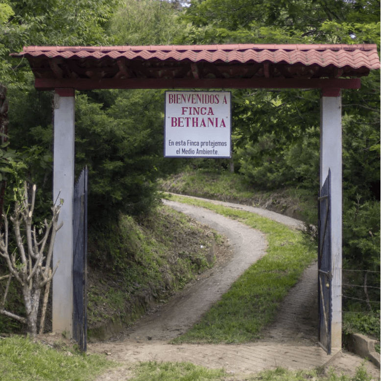 Nicaragua Hermanas Albir - Lavado - Latterra