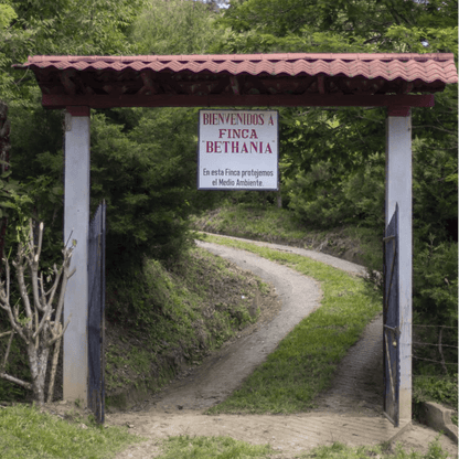Nicaragua Hermanas Albir - Lavado - Latterra