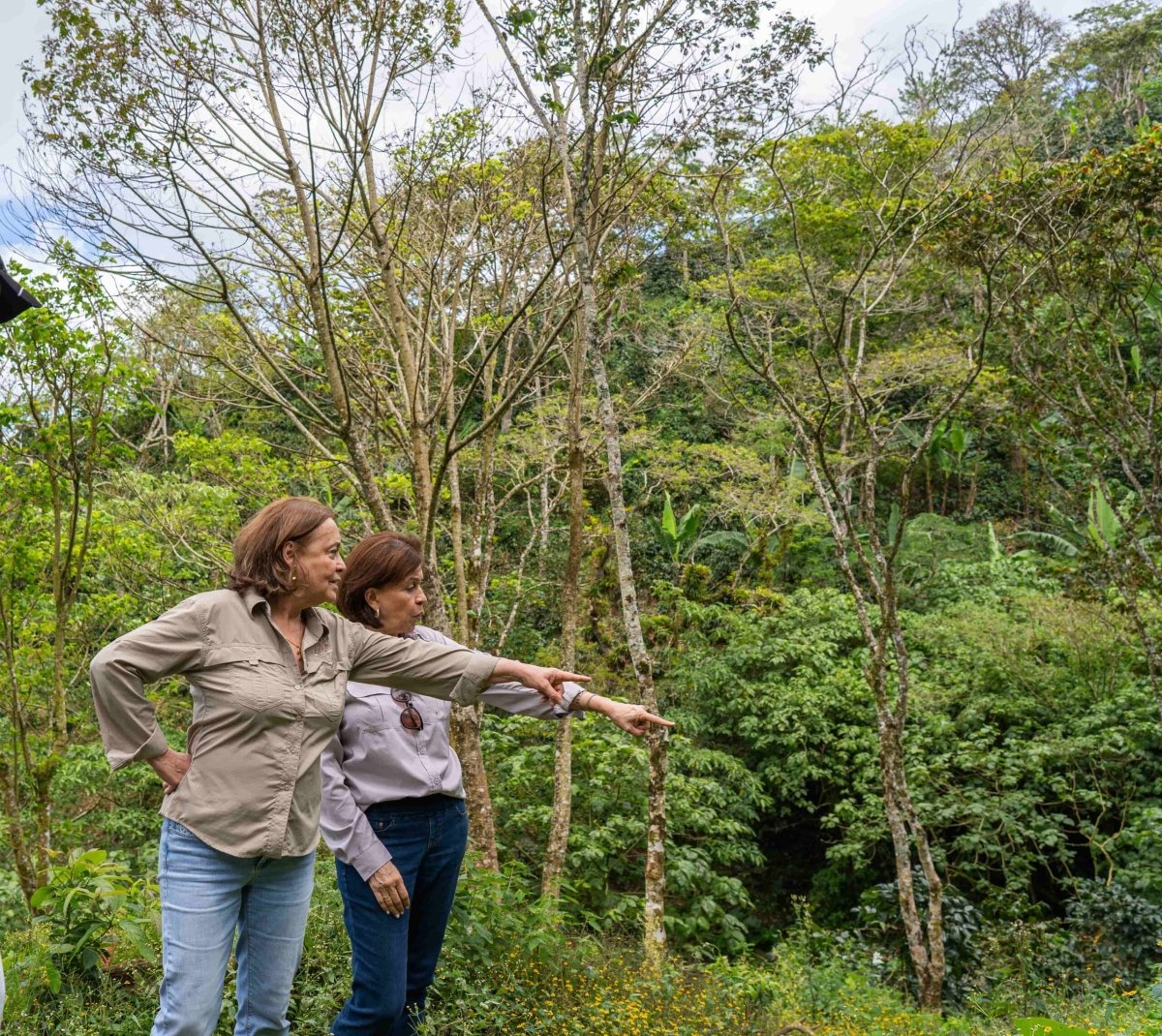 Nicaragua Hermanas Albir - Lavado - Latterra