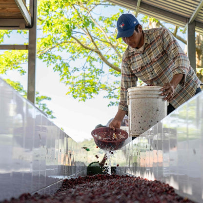 Nicaragua Hermanas Albir - Lavado - Latterra